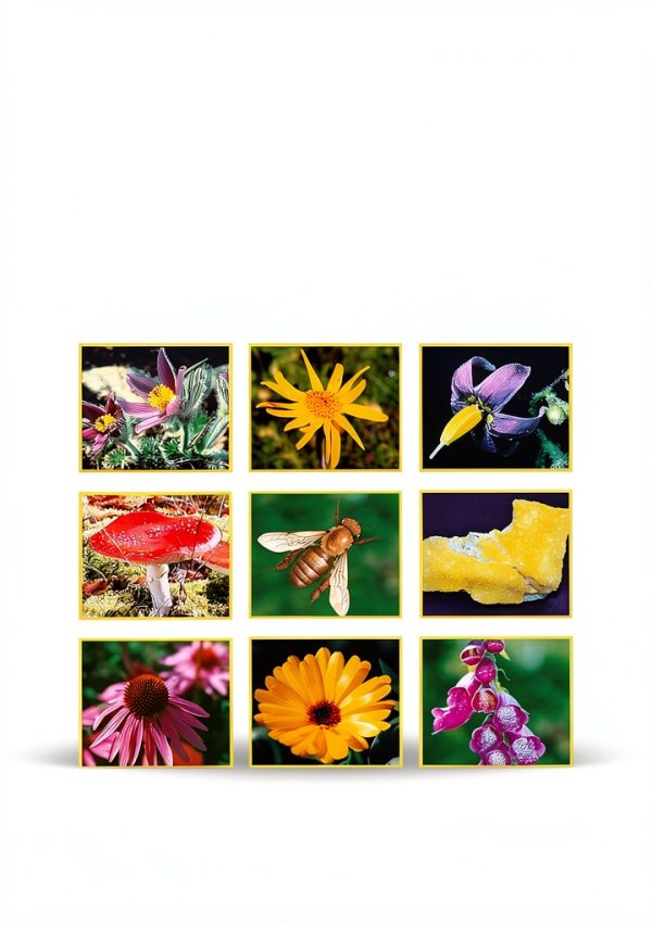 Homöosana Verlag German Medicine Book Digital Edition-0