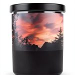 German Medicine Chemotherapy Biographies Kindle eBook-0