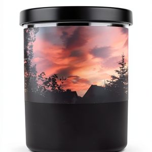 German Medicine Chemotherapy Biographies Kindle eBook-0