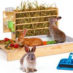 Rabbit Hay Feeder UNMOONY 4in1 Wood Design-0