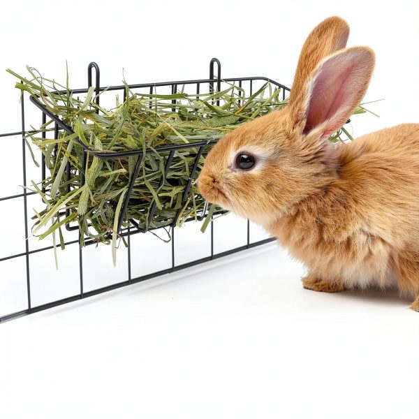 Tierecare Small Animal Hay Feeders Set of 2 Sturdy Metal-3