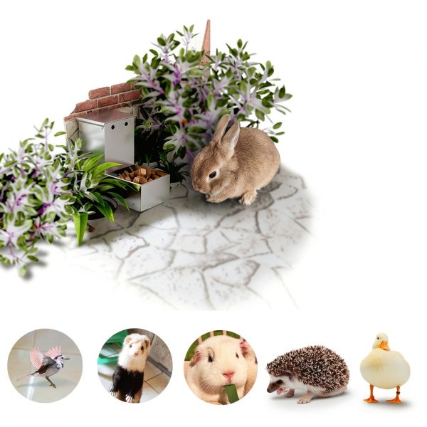Paiaojia Animal Feeder Stainless Steel Gravity-5