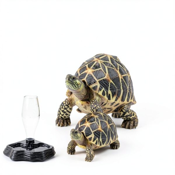 Automatic Water Feeder SLSON Reptile Plastic Design 13oz Capacity-6
